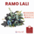 Ramo Lali - comprar online