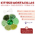 Kit 950 Mostacillas 4mm + Tanza Elastica - Forma Flor - comprar online