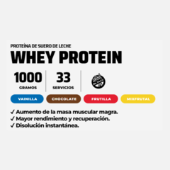 WHEY PROTEIN NUTREMAX 1 KG - comprar online