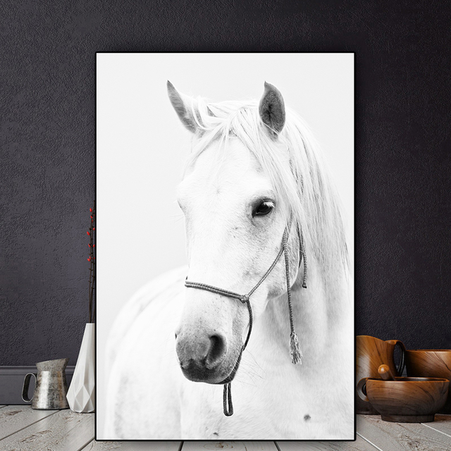 Cavalo Branco Olhando Para a Frente Entre Dois Cavalos Foto de