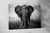 Quadro Decorativo Elefante Africano - comprar online