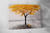 Quadro Decorativo Árvore Amarela na internet