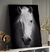 Quadro Decorativo Cavalo Branco - comprar online