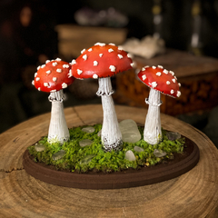 Trio Cogumelos vermelhos - comprar online