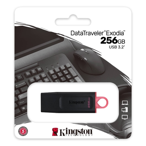 Pen Drive Kingston 256 GB USB 3.2 DTKN