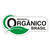 Óleo essencial de Manjericão (Ocimum basilicum Qt Linalol) ORGÂNICO - 10mL - comprar online
