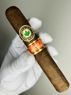 Charuto Joya de Nicaragua Clásico Medio Siglo Toro