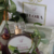 Flora - Perfume Botânico - buy online