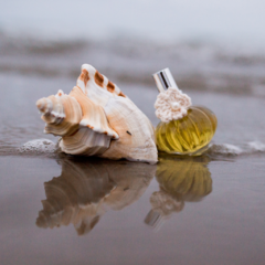 A menina que procurava o mar - perfume botânico - buy online