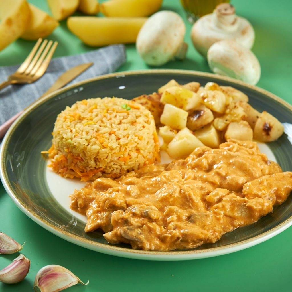 Strogonoff de Frango e Arroz com Cenoura da BoituVeggie Kids – 300g -  Evolveg - Shopping 100% vegano