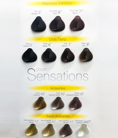 Color Sensations x60 gr - tienda online