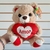 Urso de Pelúcia 23cm Fizzy FE7010 na internet