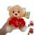 Urso de Pelúcia Fizzy com coração 20cm FC2785