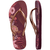 Chinelo Feminino Havaianas Slim Organic 4132823 na internet