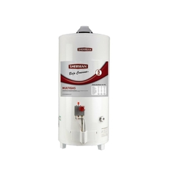 RHEEM SHERMAN TERMO ELECTRICO DE PIE 55 LTS