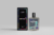 COMPRE 1 LEVE 2 PERFUMES 100ML - loja online