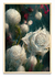 Virtual Garden - White Roses - comprar online