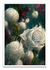 Virtual Garden - White Roses - PARED