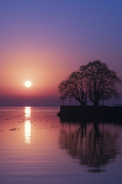 Violet sunrise
