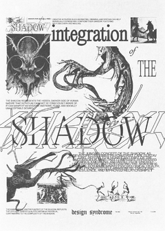 Integration of the Shadow