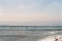 Surfistas, Venice Beach