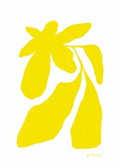 Flor amarilla 2