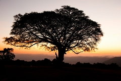 Atardecer en Ngorongoro