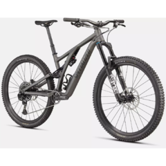 Bicicleta Specialized Stumpjumper Evo Comp Alloy - comprar online