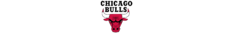 Banner da categoria Chicago Bulls