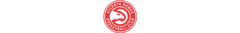 Banner da categoria Atlanta Hawks