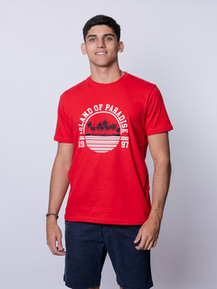 REMERA CLÁSICA ESTAMPADA - comprar online