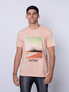 REMERA CLÁSICA ESTAMPADA - comprar online