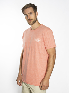 REMERA ESTAMPADA FRENTE Y ESPALDA - comprar online