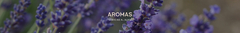 Banner de la categoría AROMAS