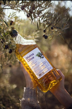 Aceite de oliva Seleccionado 2lts DIVINA OLIVA - comprar online