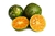 Limon mandarino - 12 und