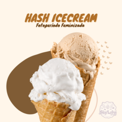 Hash Icecream - FOTO/FEM