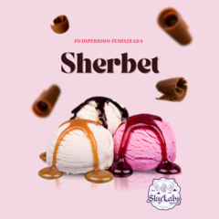 Sherbet - FOTO/FEM