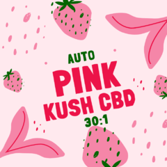 Auto Pink Kush CBD 30:1