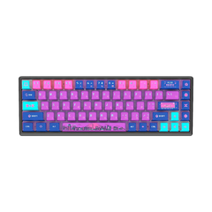 Polar 65 Neo Tokyo - comprar online