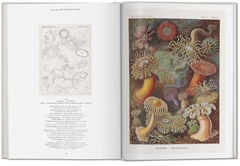 THE ART AND SCIENCE OF ERNST HAECKEL