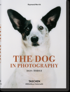 THE DOG IN PHOTOGRAPHY 1839TODAY