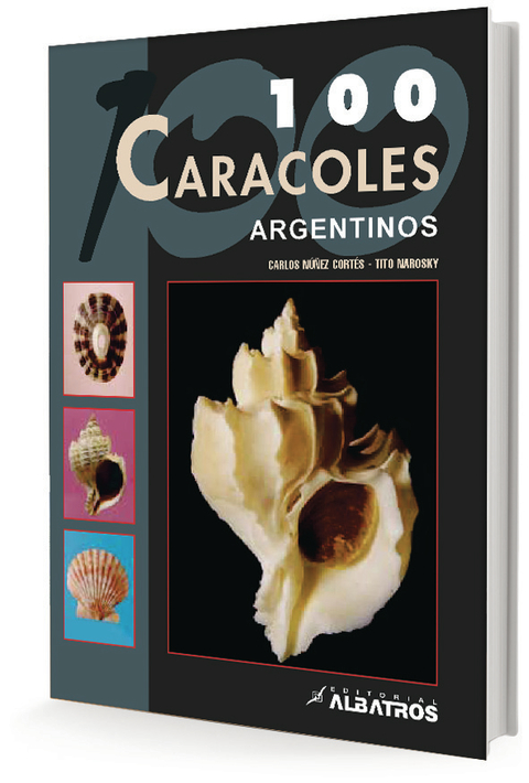 100 CARACOLES ARGENTINOS