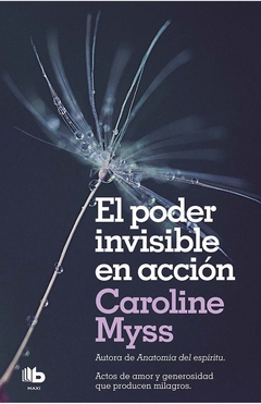 PODER INVISIBLE EN ACCION EL