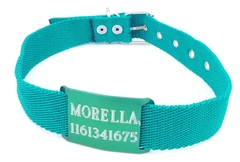 Chapita Pasador anodizado para collares de 3cm de ancho color + collar color - comprar online