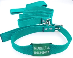 Chapita Pasador anodizado para collares de 3cm de ancho color verde + collar y correa verde