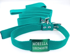 Chapita Pasador anodizado para collares de 3cm de ancho color verde + collar y correa verde - comprar online