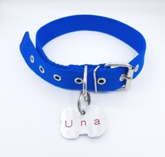 Chapita hueso mediano Magnus canin + collar azul - comprar online