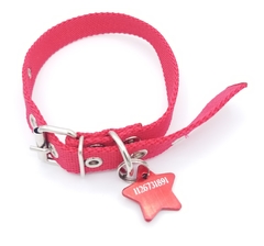 Chapita estrellita color rojo + collar rojo - Medallas para Perros