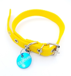 Chapita MiniRoda de color TURQUESA + Collar amarillo en internet
